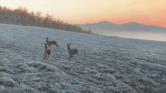 Oil painting of brown hares in a froosty field