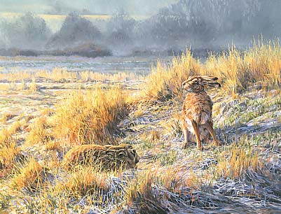 brown hare painting