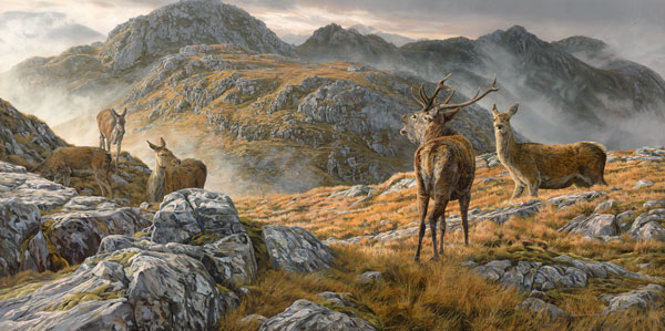 Roaring red deer stag amongst hinds on Druim fada ridge - Red deer print from an oil painting by Martin Ridley