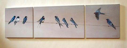 Swallows print - Swallows collecting on a wire canvas print picture