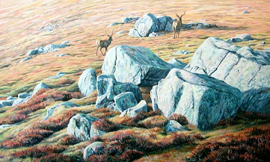 red deer stags - original oil painting by Martin Ridley