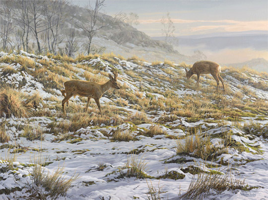 Winter roe deer in snow - original oil painting
