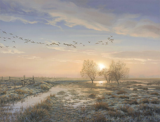 An original oil painting of a skein of geese at sunrise. Original oil painting for sale by Martin Ridley