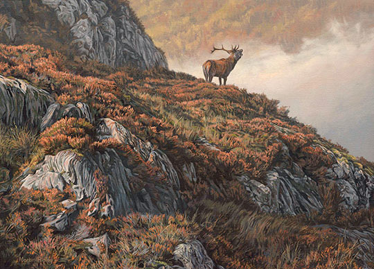 Roaring red deer stag oil painting for sale